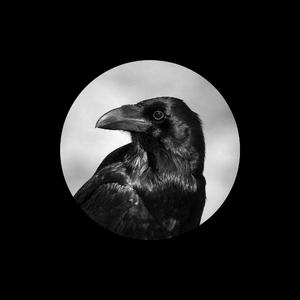 精品南斯拉夫性免费视频
